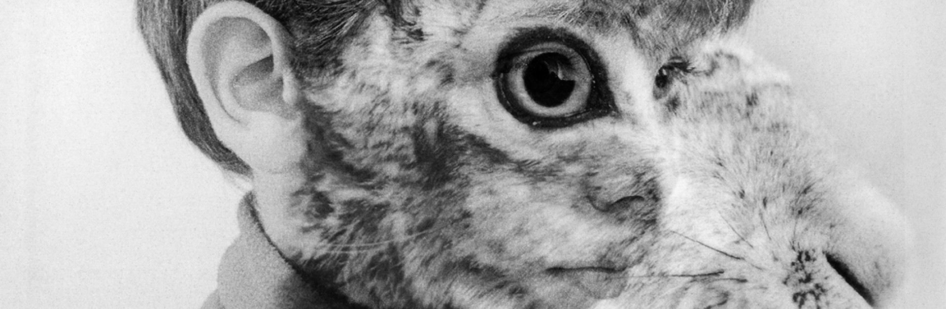 superposition d'un visage d'enfant avec la tête d'un lapin