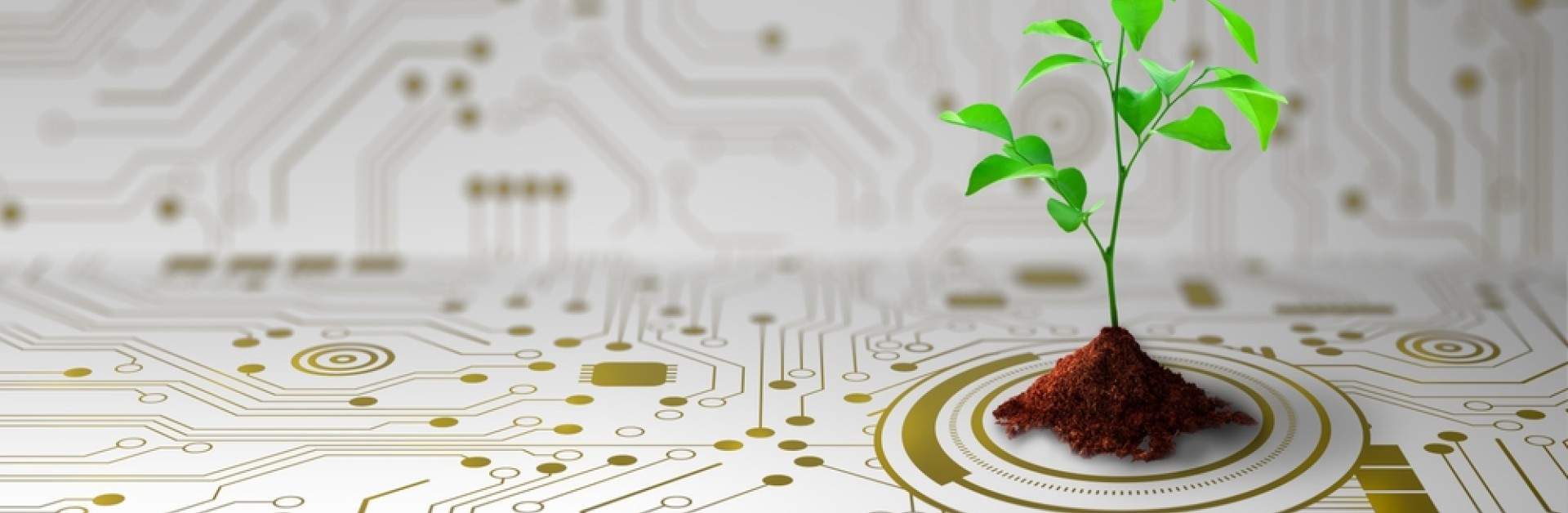 1 plante qui pousse sur des circuits imprimés