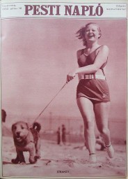 Enlarge image, modal window