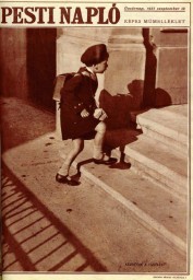 Enlarge image, modal window