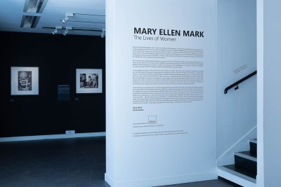 Agrandir l'image 1 sur 3, fenêtre modale