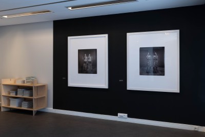 Agrandir l'image 3 sur 3, fenêtre modale