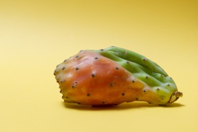 Agrandir l'image 1 sur 3, fenêtre modale