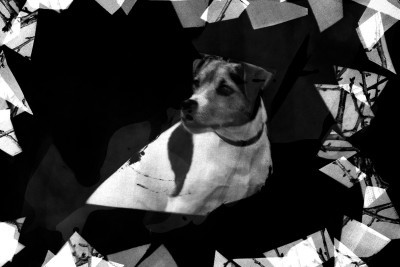 Agrandir l'image 1 sur 3, fenêtre modale