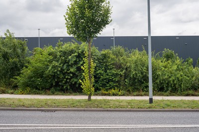 Agrandir l'image 1 sur 3, fenêtre modale