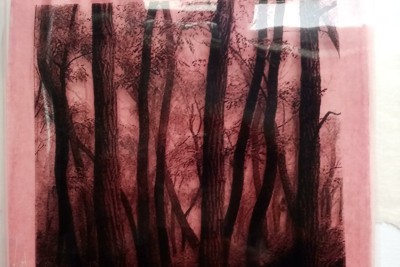 Enlarge image 2 of 6, modal window