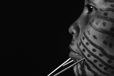 Agrandir l'image 2 sur 3, fenêtre modale