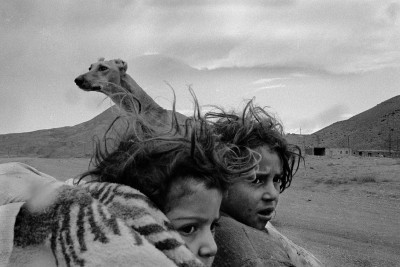 Agrandir l'image 1 sur 3, fenêtre modale