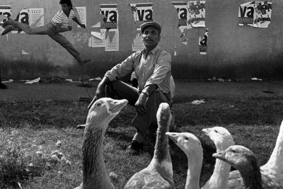 Agrandir l'image 3 sur 3, fenêtre modale