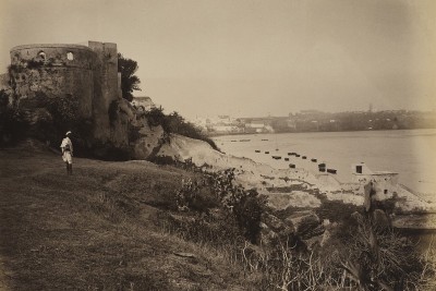 Agrandir l'image 3 sur 3, fenêtre modale