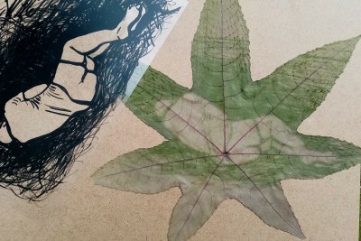 Enlarge image 6 of 6, modal window