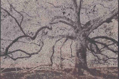 Enlarge image 4 of 6, modal window