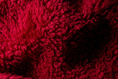 Agrandir l'image 3 sur 3, fenêtre modale