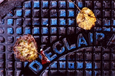 Agrandir l'image 2 sur 3, fenêtre modale