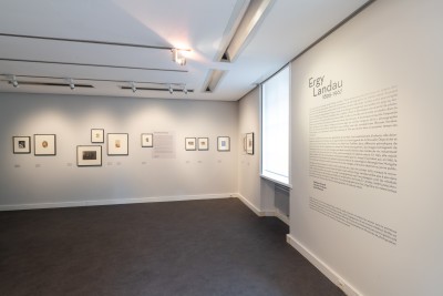 Agrandir l'image 1 sur 3, fenêtre modale