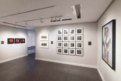 Agrandir l'image 2 sur 3, fenêtre modale