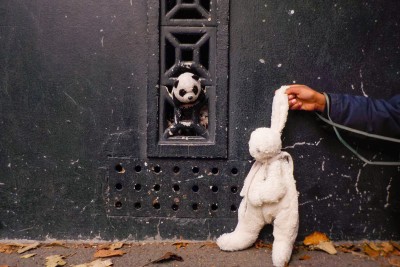 Agrandir l'image 1 sur 3, fenêtre modale