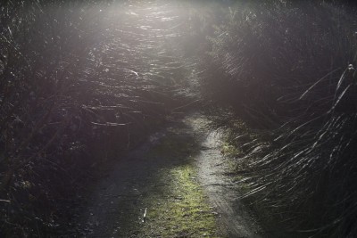 Agrandir l'image 1 sur 3, fenêtre modale