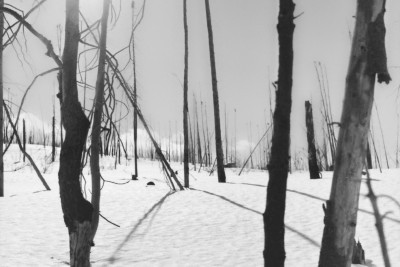 Agrandir l'image 1 sur 3, fenêtre modale