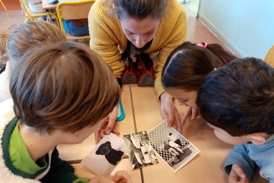 Agrandir l'image 2 sur 3, fenêtre modale