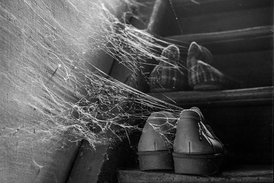 Agrandir l'image 3 sur 3, fenêtre modale