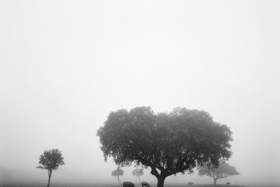 Agrandir l'image 3 sur 3, fenêtre modale