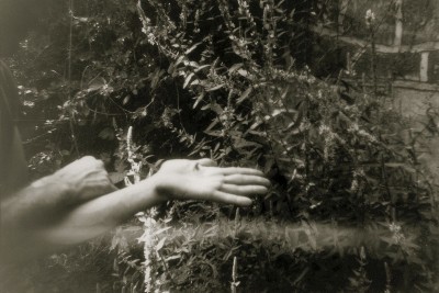 Agrandir l'image 1 sur 3, fenêtre modale