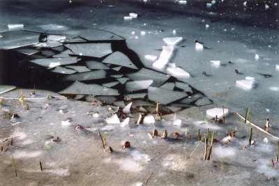 Agrandir l'image 2 sur 3, fenêtre modale