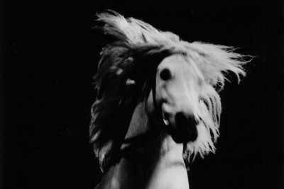 Agrandir l'image 1 sur 3, fenêtre modale