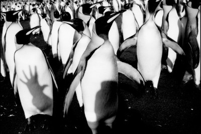 Agrandir l'image 2 sur 3, fenêtre modale