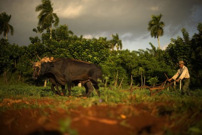 Agrandir l'image 2 sur 3, fenêtre modale