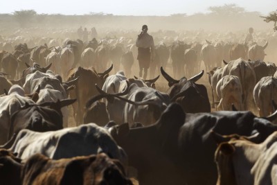 Agrandir l'image 3 sur 3, fenêtre modale